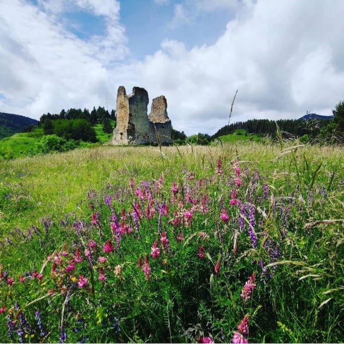 Gite L'Enclos O Rendez-Vous Roquefeuil-Pays De Sault- Avec Jardin Exteriör bild