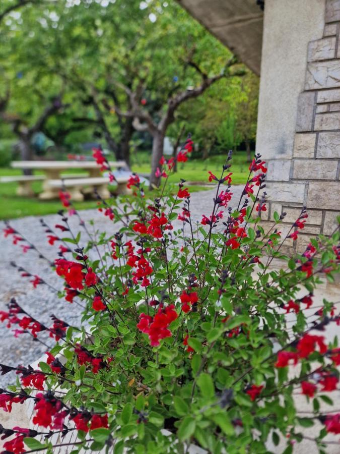 Gite L'Enclos O Rendez-Vous Roquefeuil-Pays De Sault- Avec Jardin Exteriör bild