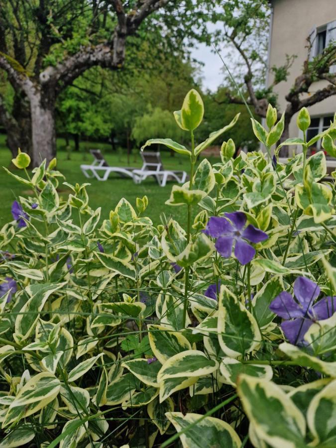 Gite L'Enclos O Rendez-Vous Roquefeuil-Pays De Sault- Avec Jardin Exteriör bild